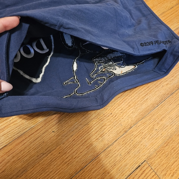 Pottery Barn Teen PEANUTS Pillow Sham Cases Pair (2) - Picture 10 of 15